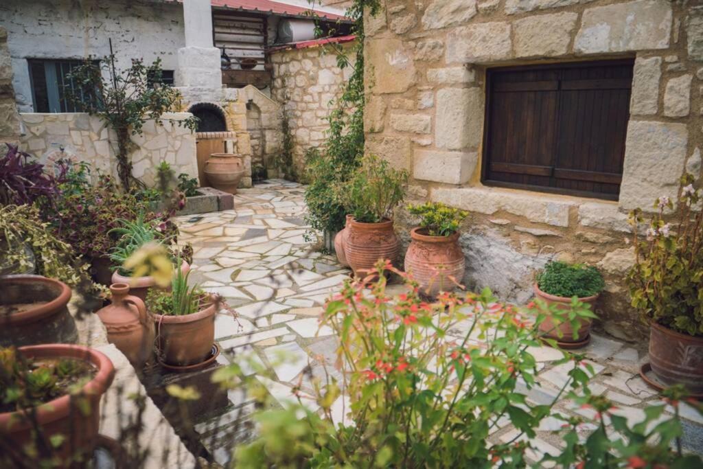 The Royal Stonehouse : Sophia Villa Vasiliki  Dış mekan fotoğraf